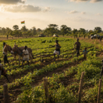 Rising Security Threats in West Africa and Regional Responses